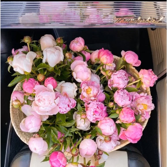 Hello 🌷 - Picture 9 of 11